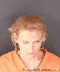 Booking photo from Sarasota County, Florida