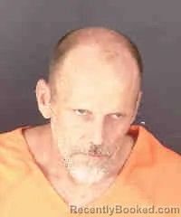 Mugshot of STEVEN MICHAEL LEE