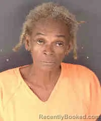 Mugshot of DEBRA LEE MORRIS booked in Sarasota County, Florida on March 10, 2026