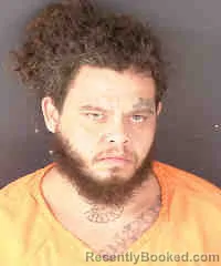 Mugshot of DAVID MICHAEL JOHNSON booked in Sarasota County, Florida on April 2, 2026