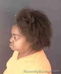 Mugshot of REGINA VONSHAY BRITTON