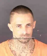 Booking photo from Sarasota County, Florida