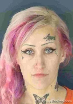 Mugshot of TAYLOR NICOLE WILSON booked in Sarasota County, Florida on April 18, 2026