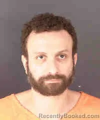 Mugshot of BRANDON ANTHONY SWANN booked in Sarasota County, Florida on March 30, 2026