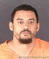 Mugshot of RYAN LAMAR DOAN