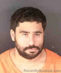 Booking photo from Sarasota County, Florida