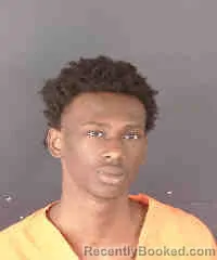 Booking photo from Sarasota County, Florida