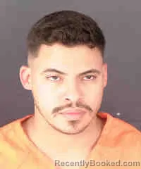 Mugshot of DANIEL CAMILO TORRES HERRERA