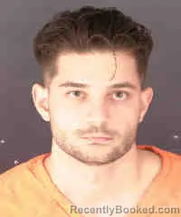 Mugshot of PATRICK LUKA