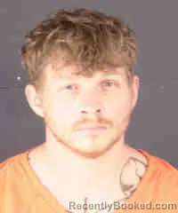 Mugshot of ARA JAMES SCOTT