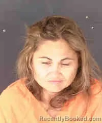 Mugshot of ANNA ELIZABETH HENNESSEY