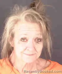 Mugshot of LISA ANNE PAYOVICH