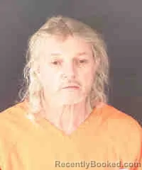 Mugshot of MICHAEL VINCENT OHLER