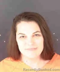 Mugshot of AMANDA MARIE OVERHOLT