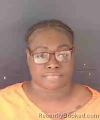 Mugshot of STEPHANIE MITCHELL