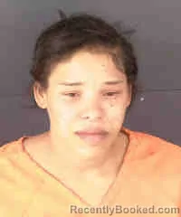 Booking photo from Sarasota County, Florida
