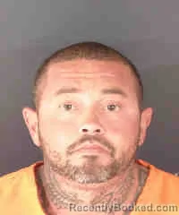 Mugshot of DYANGO VERGARA