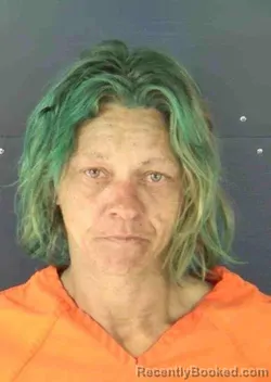 Mugshot of NICHOLE LYNN JENKINS booked in Sarasota County, Florida on March 3, 2026