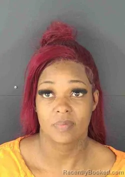 Mugshot of LACHERRA JOVANLASHAWN FIELDS booked in Sarasota County, Florida on March 13, 2026