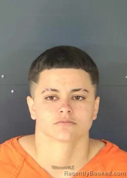 Mugshot of AMANDA CRISTINA PEREZ CARDOSO booked in Sarasota County, Florida on March 13, 2026