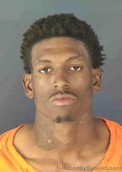 Mugshot of JAHBORI MALIK RAINES booked in Sarasota County, Florida on March 14, 2026