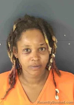 Mugshot of BRITTANY ANNE GRIFFITH booked in Sarasota County, Florida on March 14, 2026