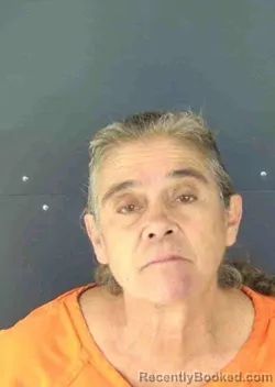 Mugshot of DEBBIE ELIZABETH WILHELM booked in Sarasota County, Florida on March 15, 2026