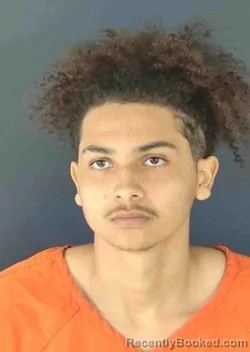 Mugshot of LOVELL MAYLEET DORCE