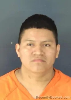 Mugshot of FRANCISCO PEREZ MENDEZ booked in Sarasota County, Florida on March 17, 2026