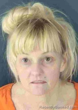 Mugshot of ERIN ELIZABETH TRIVANE booked in Sarasota County, Florida on March 18, 2026