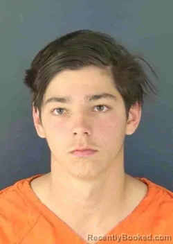 Mugshot of BARON WALKER DENNIS booked in Sarasota County, Florida on March 18, 2026