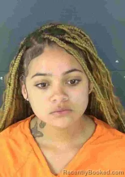 Mugshot of AUBREY RACHELLE MORRIS booked in Sarasota County, Florida on March 19, 2026