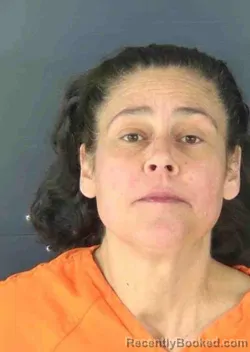 Mugshot of DAWN RENEE ANDERSON booked in Sarasota County, Florida on March 19, 2026