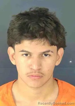 Mugshot of ELVIS EZEQUEIL AVILA BRICENO booked in Sarasota County, Florida on March 21, 2026