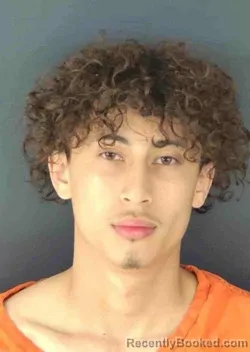 Mugshot of STEVEN THEODORE SALOMON booked in Sarasota County, Florida on March 22, 2026