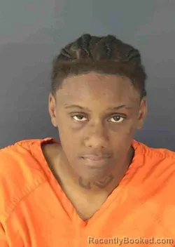 Mugshot of DIAMOND TANISHA PETERSON booked in Sarasota County, Florida on March 22, 2026