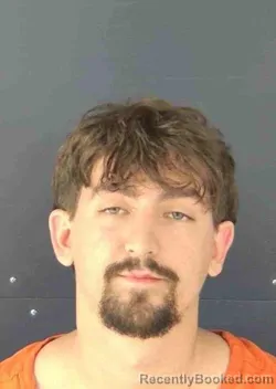 Mugshot of QUINN ALLEN MCADAMS booked in Sarasota County, Florida on March 24, 2026