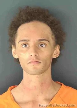 Mugshot of DEVLIN OLIVER BURBAGE booked in Sarasota County, Florida on March 24, 2026