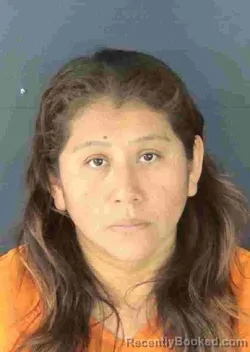 Mugshot of IRMA VALLEJO ALARCON booked in Sarasota County, Florida on March 25, 2026