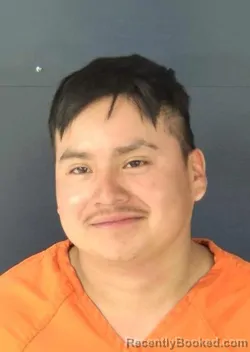 Mugshot of SALVADOR TORRES booked in Sarasota County, Florida on March 25, 2026