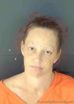 Mugshot of ASHLEY MICHELLE EMERSON booked in Sarasota County, Florida on March 26, 2026