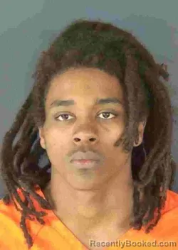 Mugshot of HENOK TULLU ABEBE booked in Sarasota County, Florida on March 26, 2026