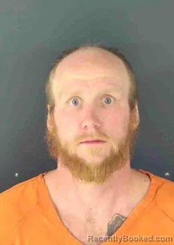 Mugshot of BRANDON CHRISTOPHER BROWN booked in Sarasota County, Florida on March 29, 2026