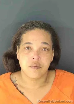 Mugshot of DESIREE CHELCE MITCHELL booked in Sarasota County, Florida on March 31, 2026