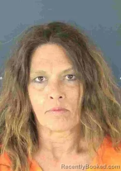 Mugshot of PAMELA SUSAN WUNSCH booked in Sarasota County, Florida on April 1, 2026