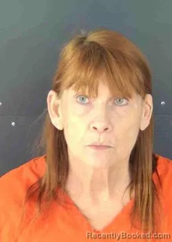 Mugshot of TAMELA RENEE MCCLISH booked in Sarasota County, Florida on April 2, 2026