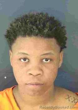 Mugshot of IRASHIA JENELL JOHNSON booked in Sarasota County, Florida on April 2, 2026