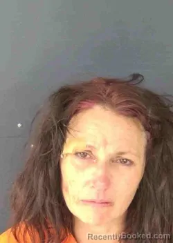 Mugshot of MICHELLE CHARMAINE ANANIA booked in Sarasota County, Florida on April 2, 2026