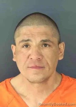 Mugshot of GREGORY CARLOS PALACIOS booked in Sarasota County, Florida on April 4, 2026