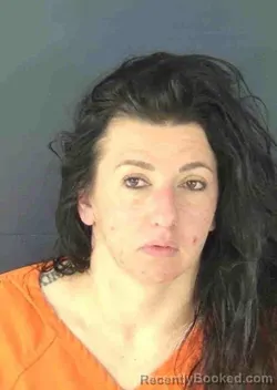 Mugshot of NICOLE HEATHER ANDERSON booked in Sarasota County, Florida on April 7, 2026